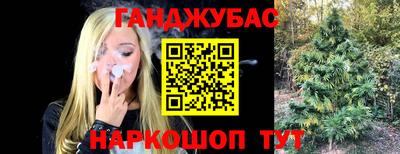 гашик Краснознаменск