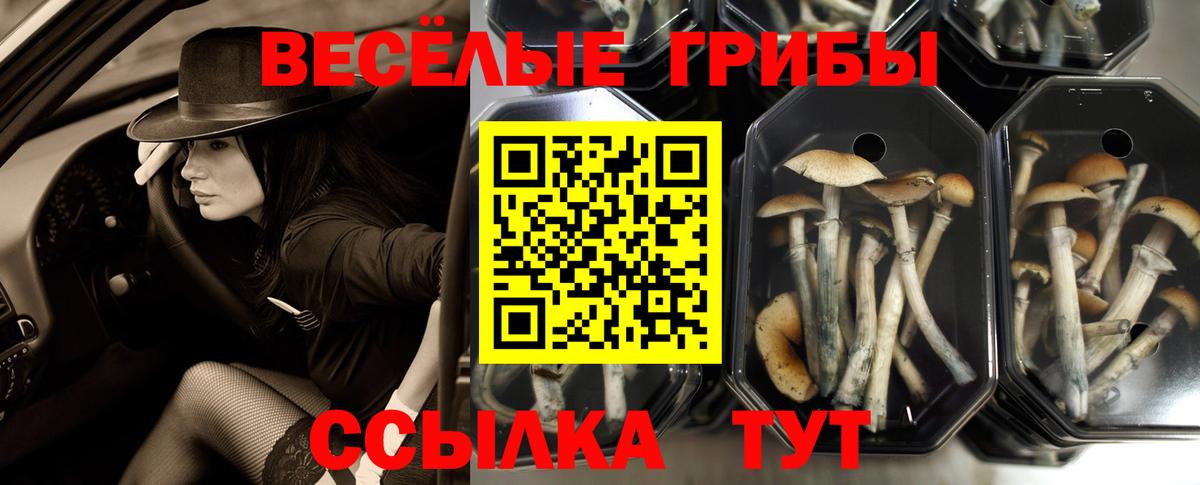 Галлюциногенные грибы прущие грибы  продажа наркотиков  Вход с VPN  Азов  Галлюциногенные грибы Magic Shrooms 