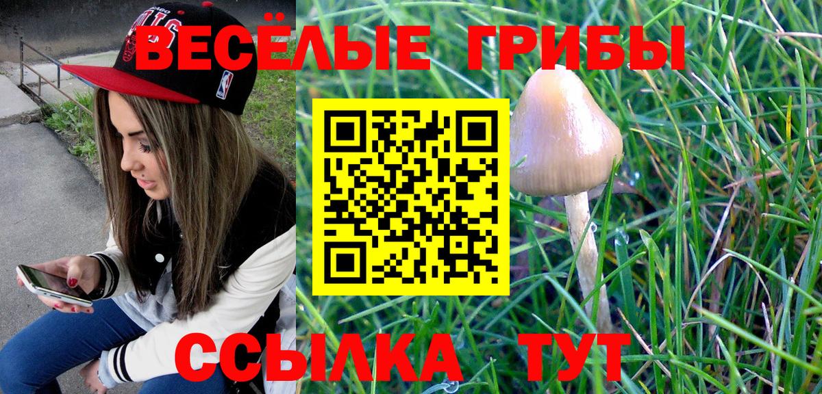 Галлюциногенные грибы GOLDEN TEACHER Азов